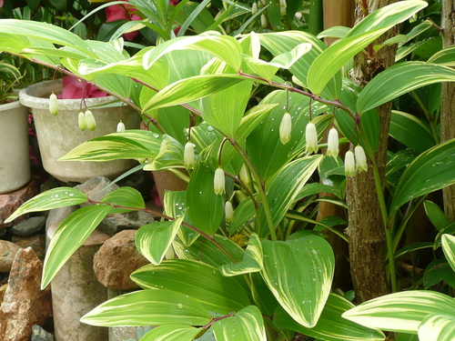 c0009528_22445814.jpg