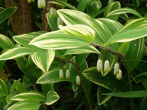 c0009528_22451587.jpg