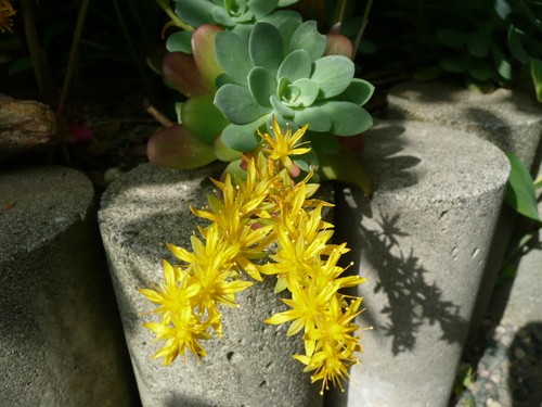 c0009528_22453910.jpg