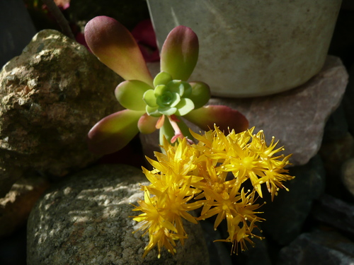 c0009528_22455540.jpg