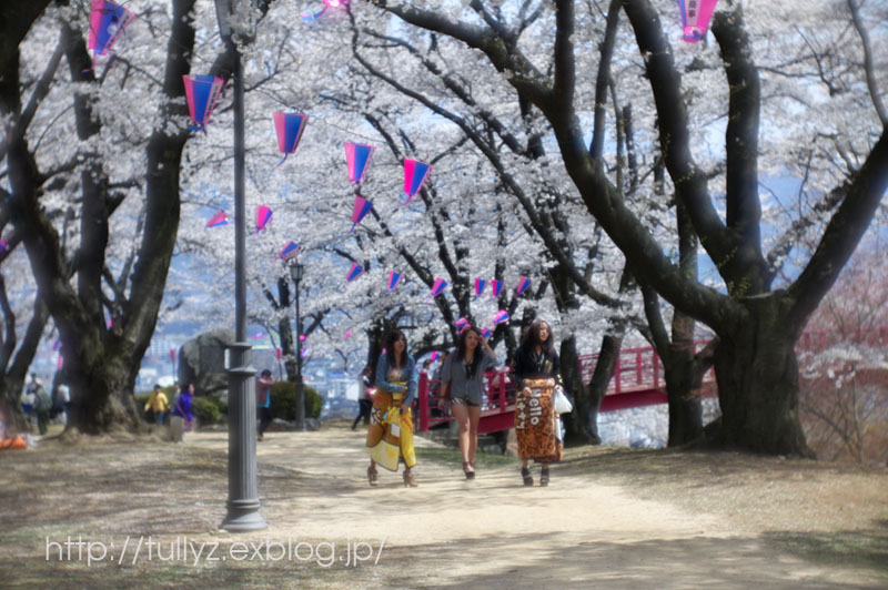 伊那の桜　（１）　　_d0108132_20113799.jpg