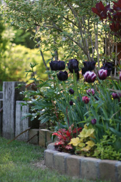 f0002534_20121449.jpg