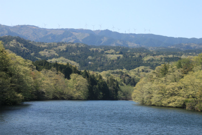 d0055236_2341569.jpg