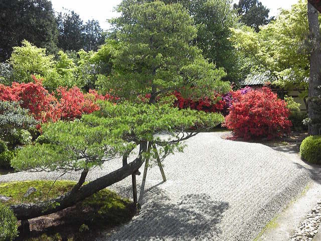 c0292342_9522784.jpg