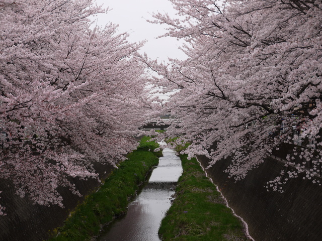 d0008157_19542082.jpg