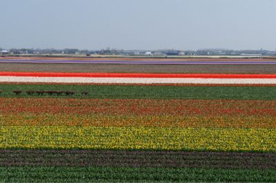 d0224362_13471612.jpg