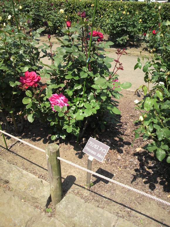 e0209864_95380.jpg