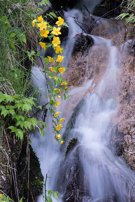 e0271864_2343895.jpg