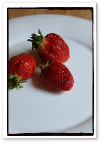 d0045372_126459.png