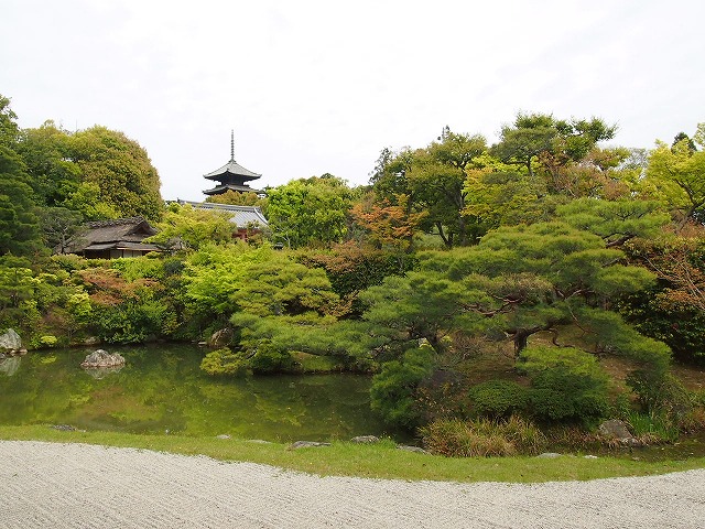 御室　仁和寺（京都）_f0234172_11151740.jpg