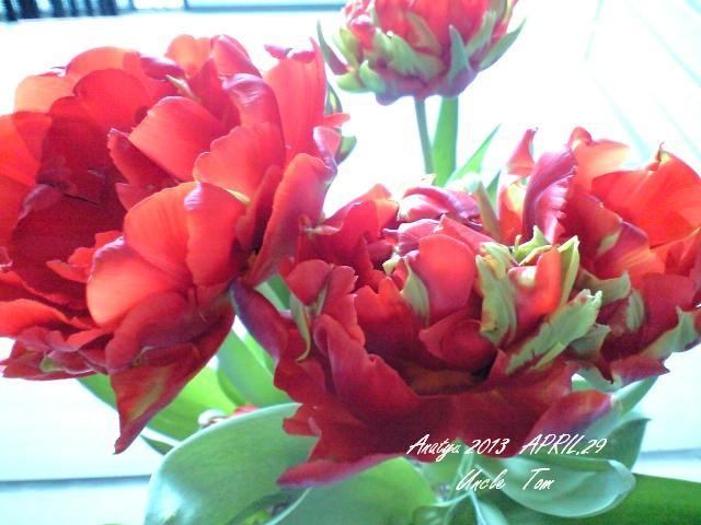 c0012180_12519.jpg
