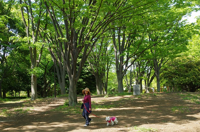 大和引地台公園 あずきと豆ペース