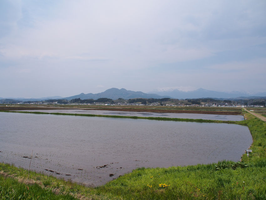 d0244687_18225921.jpg