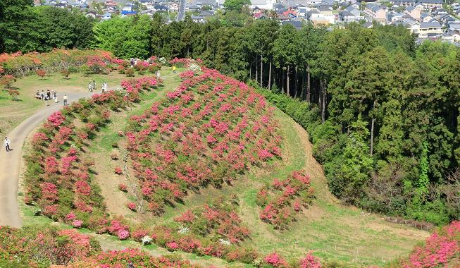 【第３２回　笠間の陶炎祭　超満員札止め】_c0229591_1581697.jpg