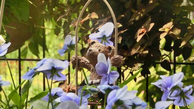 花達が教えてくれる素敵な春、自然美の素晴らしさ、花が教える素敵な環境_d0181492_8561333.jpg