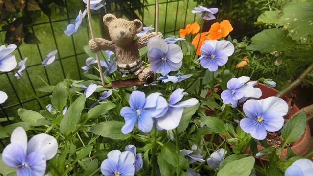 花達が教えてくれる素敵な春、自然美の素晴らしさ、花が教える素敵な環境_d0181492_857222.jpg