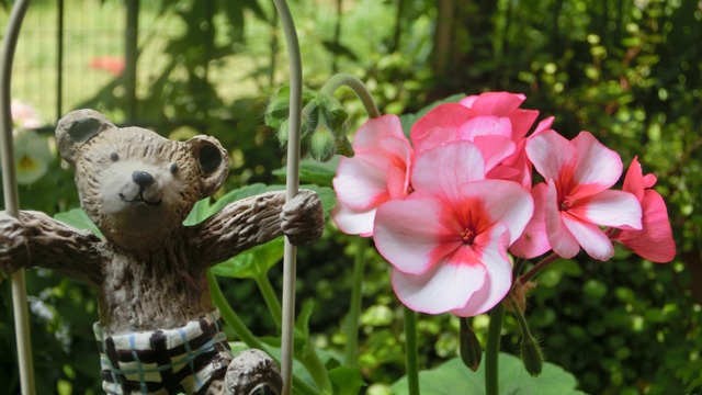 花達が教えてくれる素敵な春、自然美の素晴らしさ、花が教える素敵な環境_d0181492_8574210.jpg