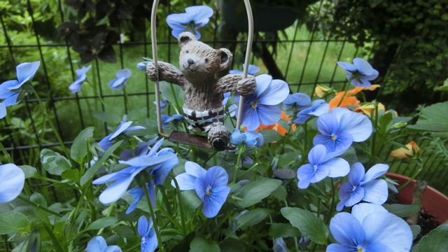 花達が教えてくれる素敵な春、自然美の素晴らしさ、花が教える素敵な環境_d0181492_8585961.jpg