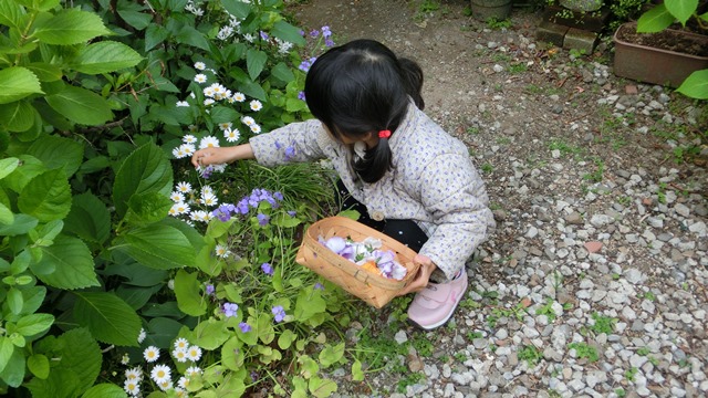 花達が教えてくれる素敵な春、自然美の素晴らしさ、花が教える素敵な環境_d0181492_902938.jpg