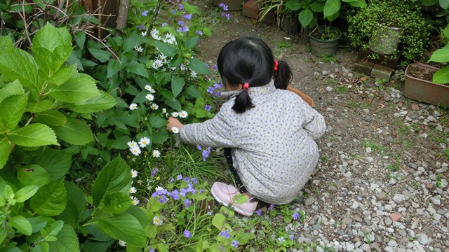 花達が教えてくれる素敵な春、自然美の素晴らしさ、花が教える素敵な環境_d0181492_91517.jpg