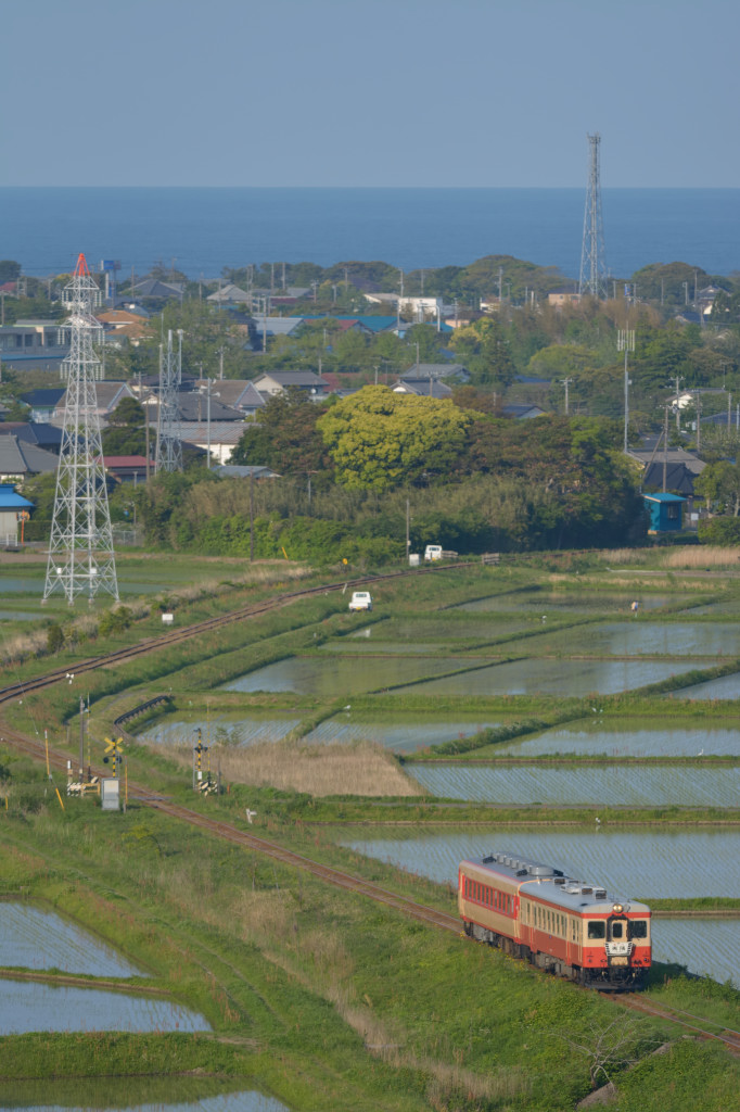 2013 5 4 いすみ鉄道_e0132794_765278.jpg