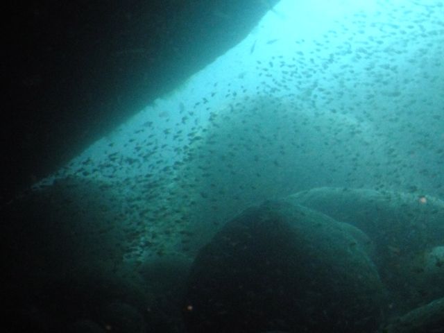 ラブラブカップル４組の雲見【2013年5月5日】_f0053895_20504818.jpg