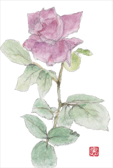 ＜178＞邸宅の薔薇垣_f0176500_1633483.jpg