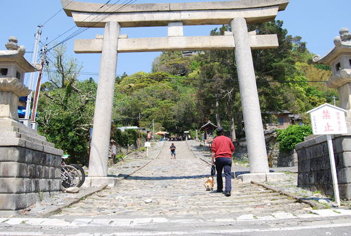 久能山東照宮は階段が・・・_f0101201_20522822.jpg