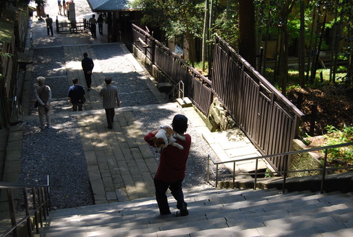 久能山東照宮は階段が・・・_f0101201_21213769.jpg