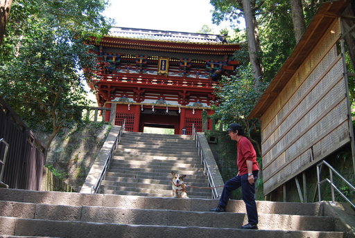 久能山東照宮は階段が・・・_f0101201_2161530.jpg