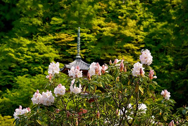 a0044202_14541452.jpg