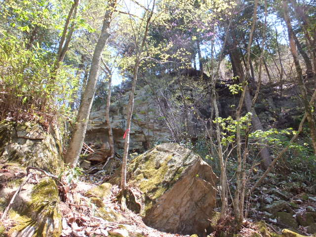 a0271502_14461279.jpg
