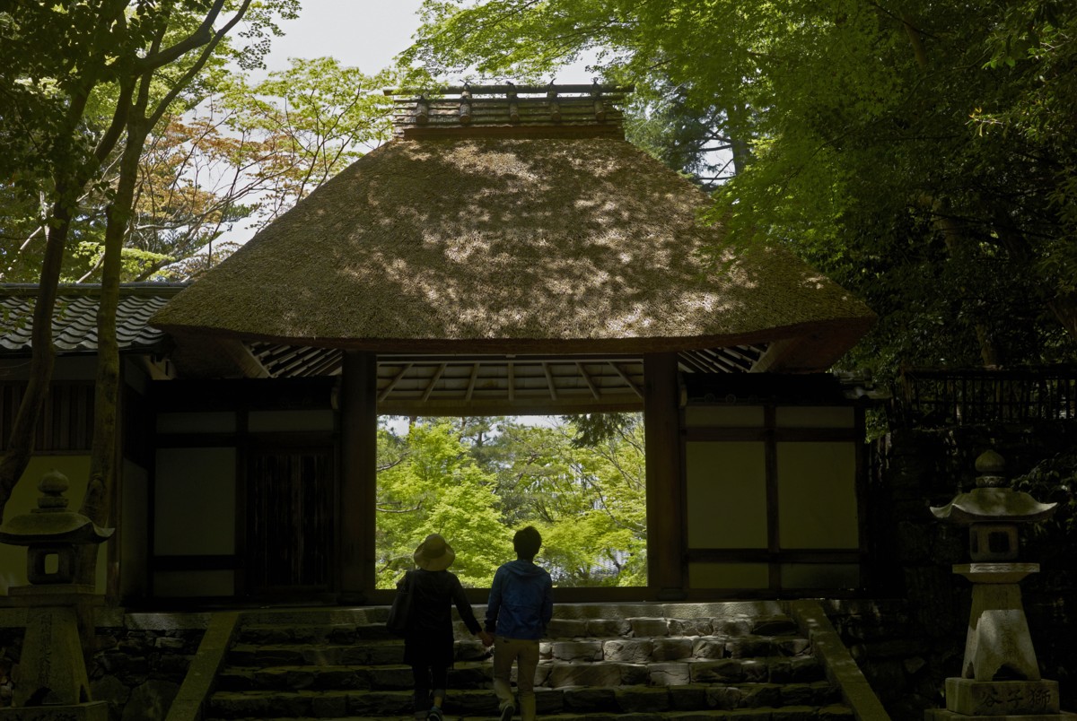 京の青もみじ②　－　法然院_c0156404_20584820.jpg