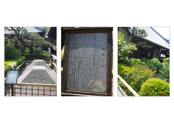 牡丹を観に　　　　石光寺　奈良_e0308105_22262364.png