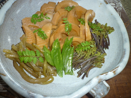 山菜三昧で春味楽しんでいます。_c0280108_2133677.jpg