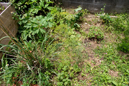 e0334508_23103076.jpg