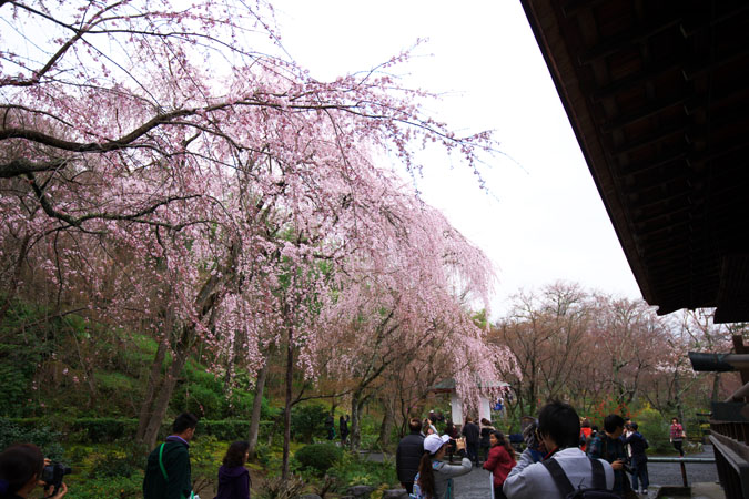 a0263109_80696.jpg