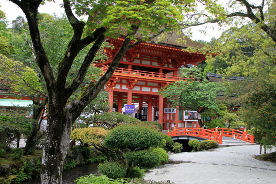 上賀茂神社新緑_e0048413_2033309.jpg