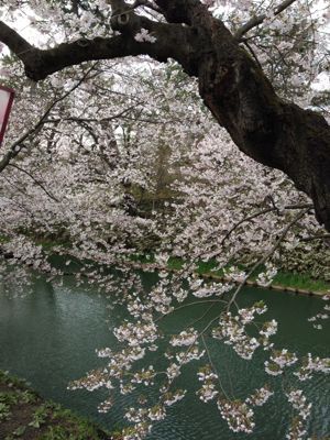 f0223313_21505226.jpg