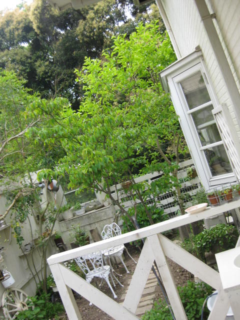 c0085916_0524069.jpg