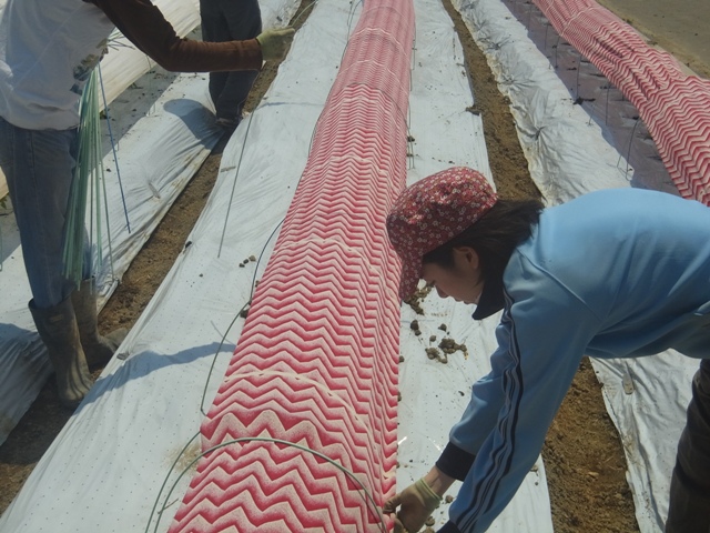 f0142721_22589.jpg