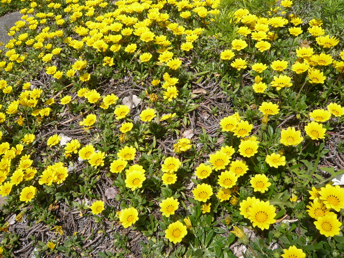 b0270923_13234110.jpg