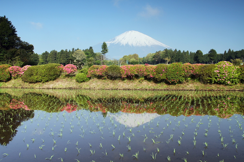 素敵な田園_d0240223_18445765.jpg