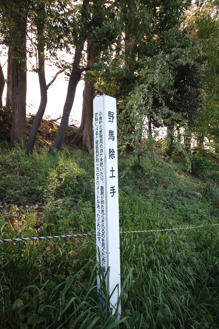 小金牧野馬土手は泣いている | 青木 更吉 |本 | 通販 | Amazon