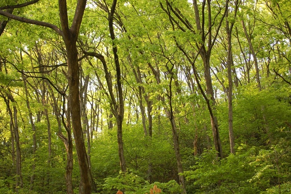 b0097729_193759.jpg
