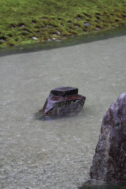 雨の東福寺・光明院（中編）_b0169330_12352786.jpg