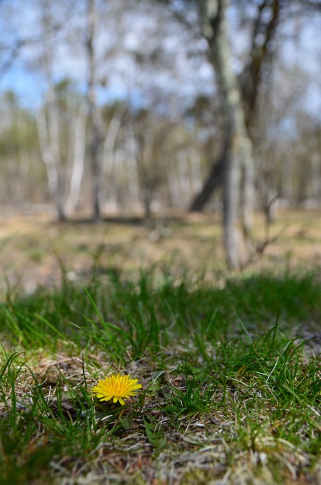 b0236334_20304844.jpg