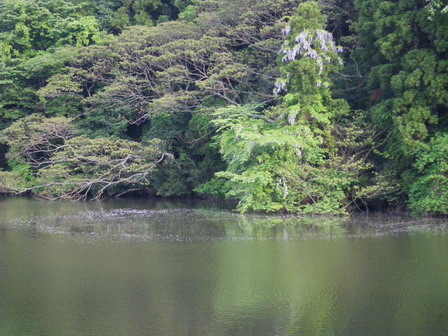 a0123836_19325.jpg
