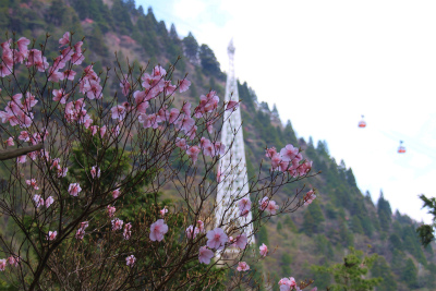 一の谷新道から御在所岳へ　三重県_d0055236_14133730.jpg