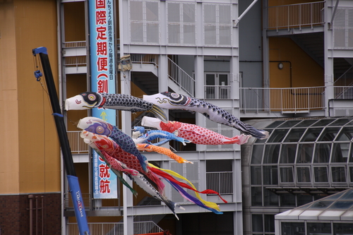 嗚呼!ゴールデンウィーク 5月6日_f0113639_13393037.jpg